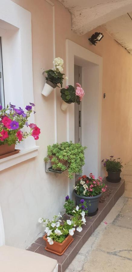 Apartment Asja Old City Center Пула Екстер'єр фото